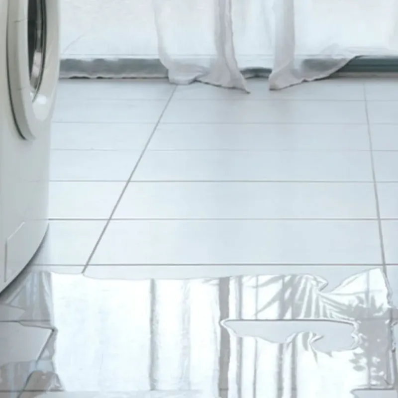 Appliance Leak Cleanup in Mocksville, NC