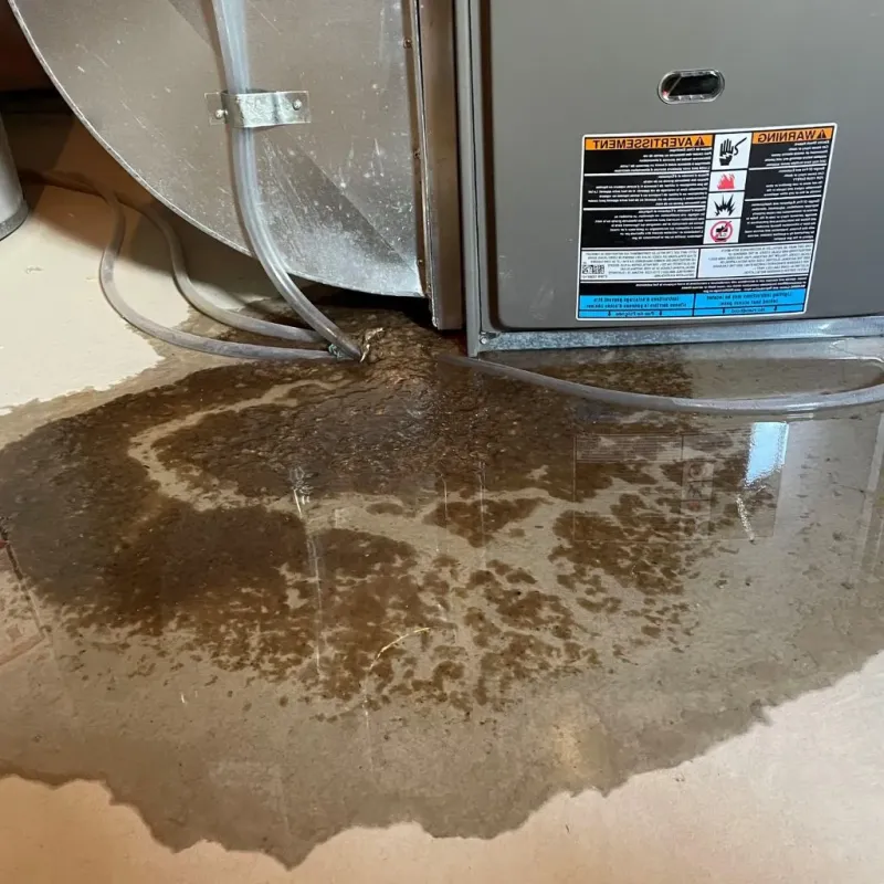 Pipe Burst and Leak Restoration in Mocksville, NC